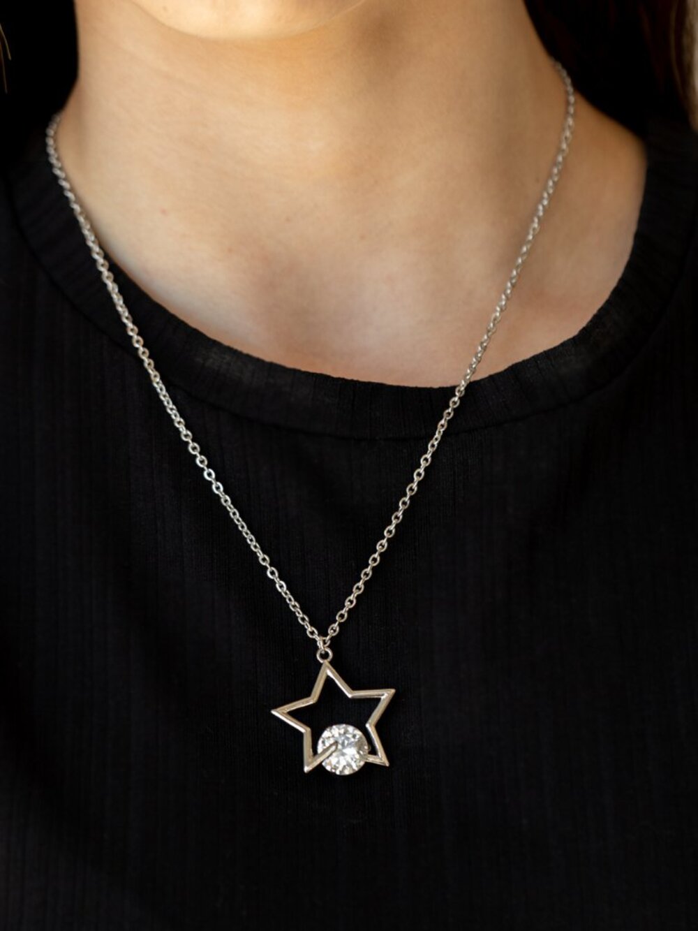 Paparazzi Necklace (NS310)